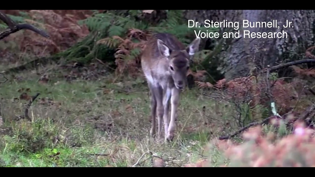 SPECIES PROTECTION &ndash;&nbsp;THE OZONE FACTOR SERIES