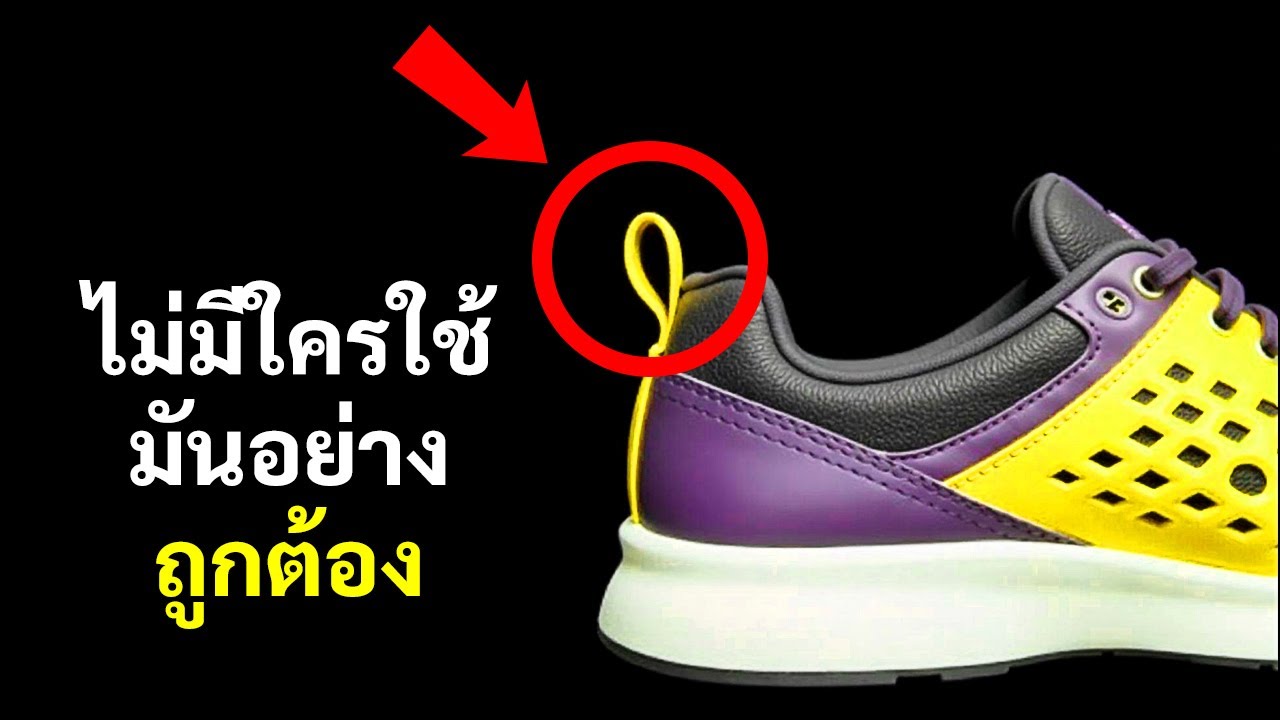 คุณคงไม่เชื่อว่าคุณได้เรียนรู้ข้อเท็จจริงเหล่านี้เมื่อตอนปลายชีวิต