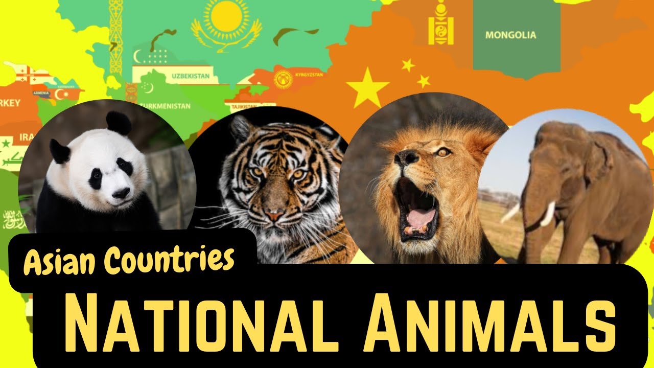 National Animals of Asian Countries