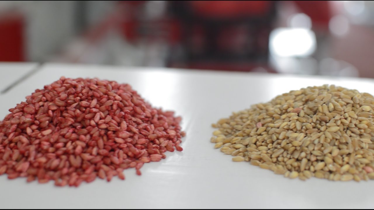 Seed Coating Machine - AKY Technology