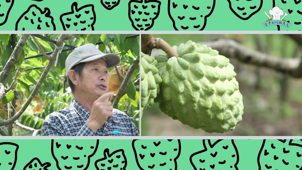 前進臺東鳳梨釋迦產地 一次教你怎麼挑怎麼吃