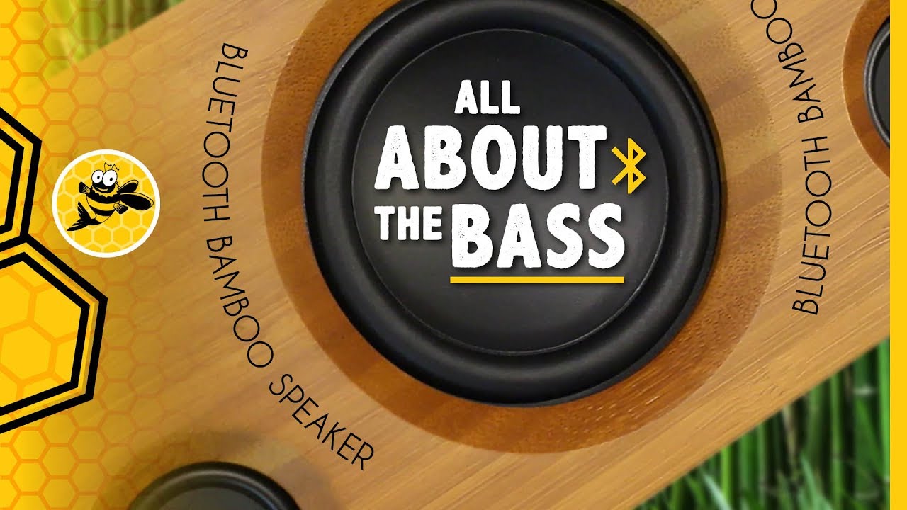 Best Bluetooth Speaker with Good Bass? Archeer A320 Review