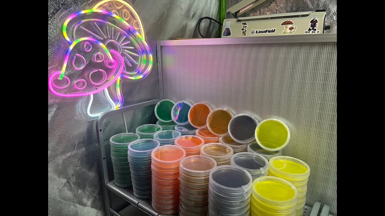 School of Rock’n Agar – Measuring ingredients and melting in that agar to get maximum clarity