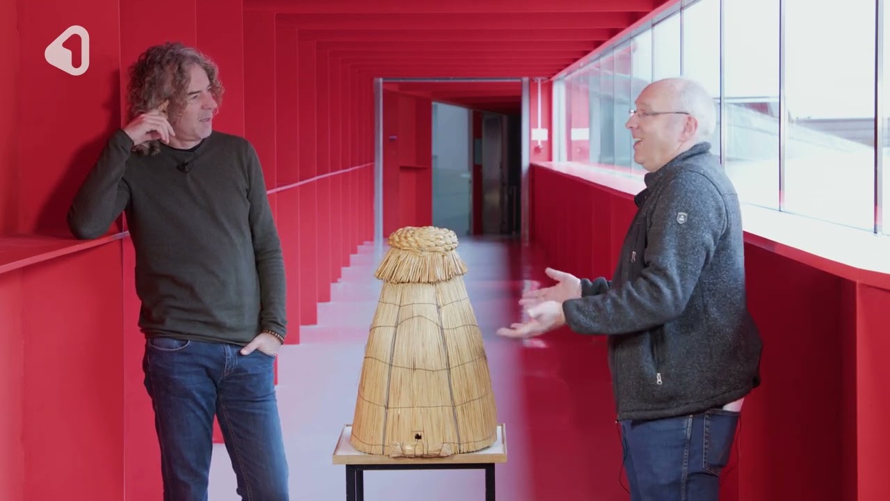 87 De Bisschopsmuts bijenkorf