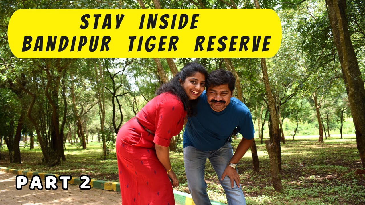 Stay inside the Forest I Best Budget resort in Forest I Country Club Resort Bandipur Tiger Reserve