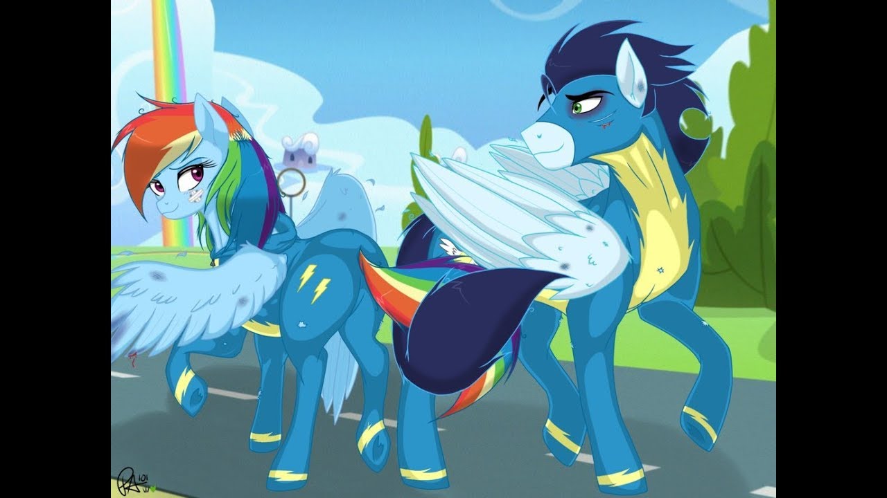 MLP: Soarin x Rainbow Dash - Pro