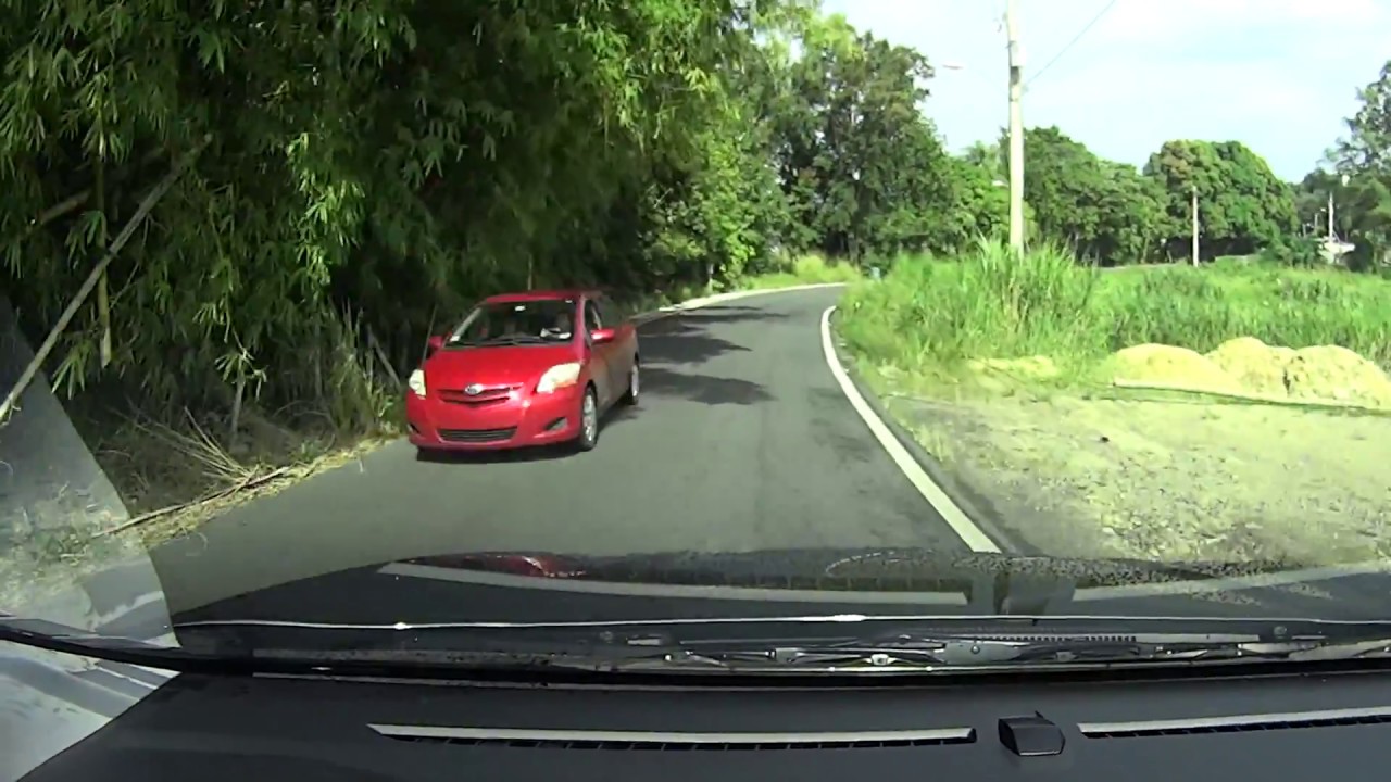 Morovis