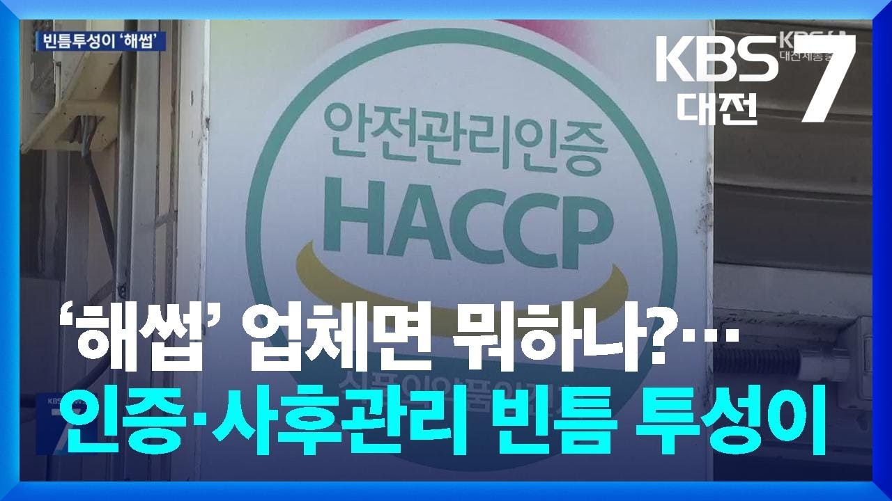 &lsquo;해썹&rsquo; 업체면 뭐하나?&hellip;인증&middot;사후관리 빈틈 투성이 / KBS  2024.06.27.