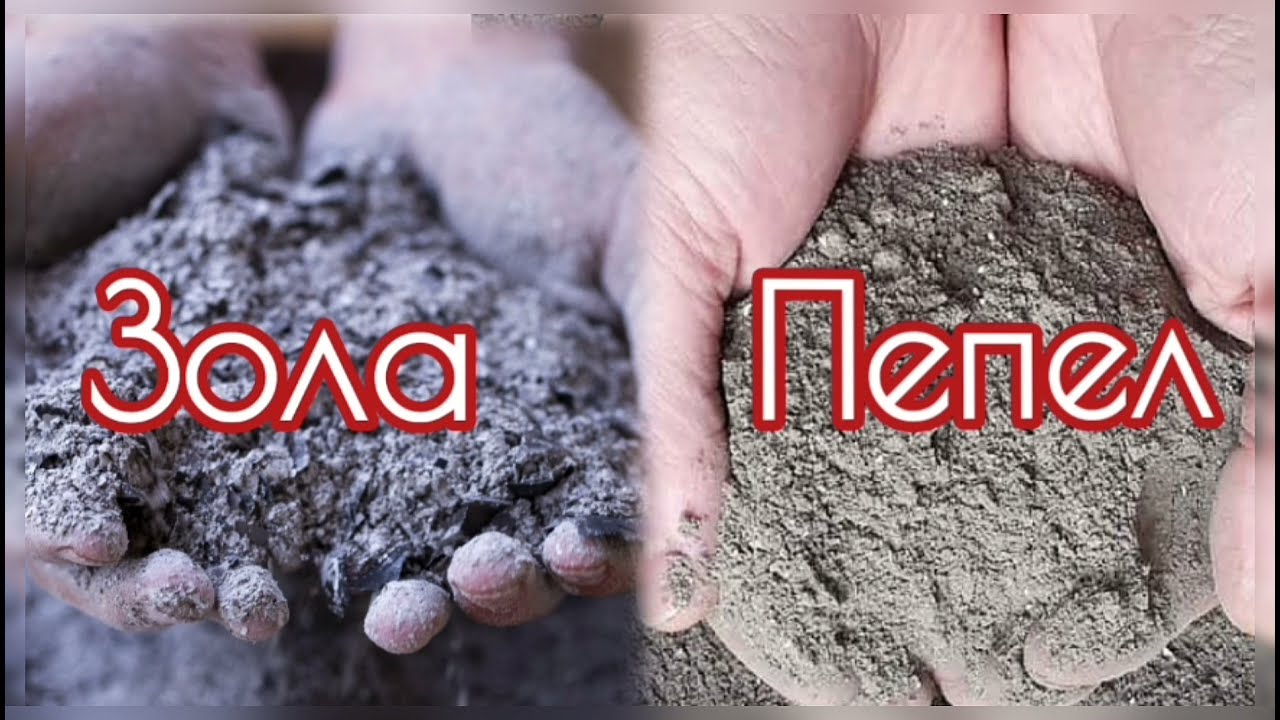 Зола и пепел – в чем разница?
