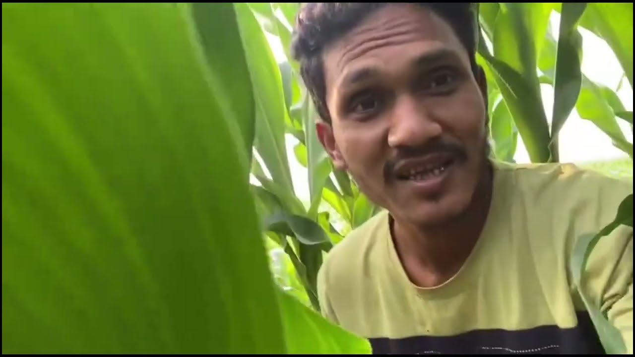  তো আপনাদের মাঝে চলে আসলাম একটি লাভ ভিডিও নিয়ে#reels #video for you