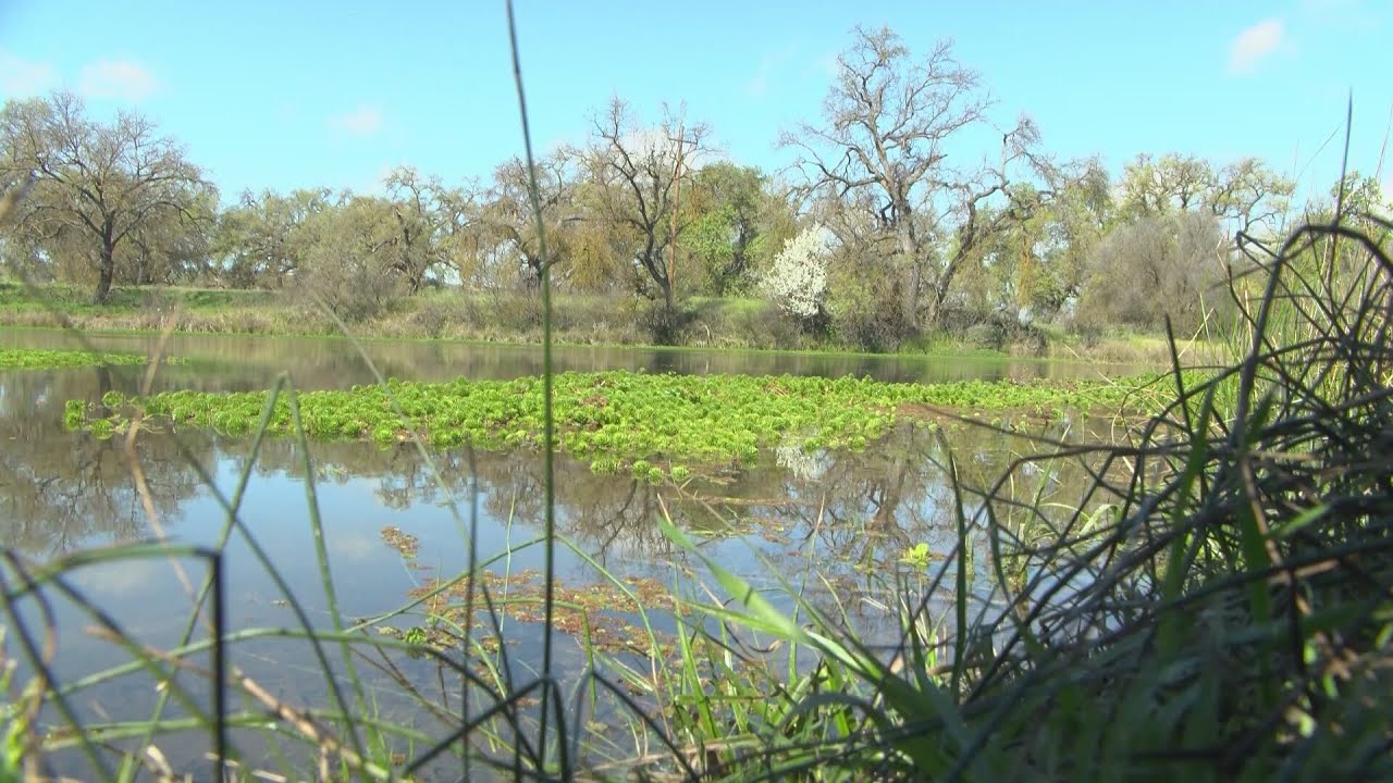 ‘This is public land’: Use of human compost puts river conservation agencies at odds