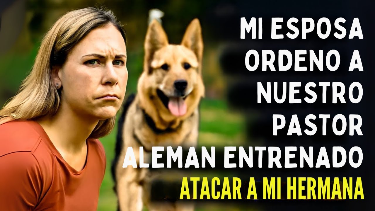 Mi esposa ordenó a nuestro pastor alemán entrenado que atacara a mi hermana en una barbacoa