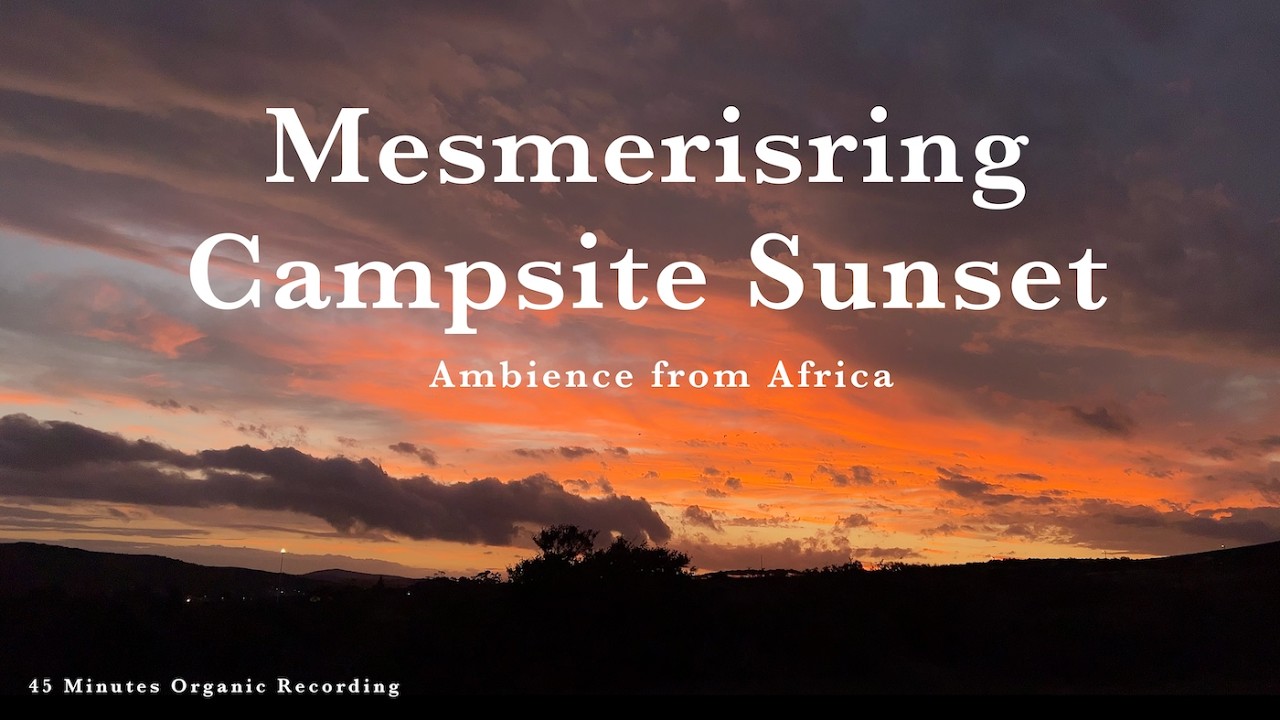Sunset on an African Campsite | Birds, Evening Sounds & Distant Road Ambience (45 MIN Unlooped)