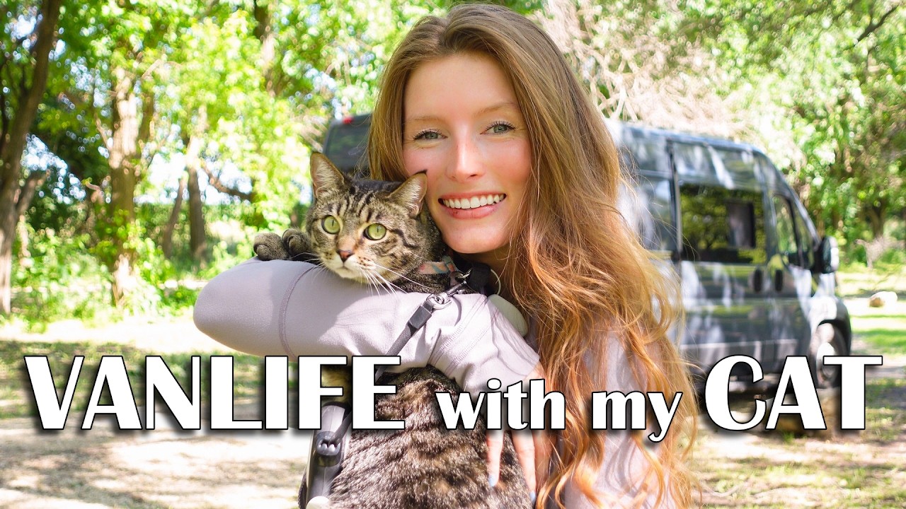 VANLIFE with my CAT | A Day In The Life VLOG | Answering Your Questions