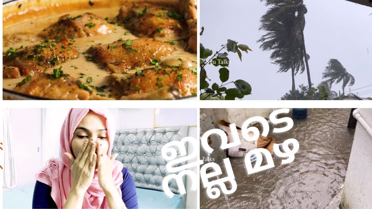 ഇവടെ കനത്ത മഴ ആണ്/Today's Vlog/Chicken Fricassee - French Chicken Stew/SiluTalks