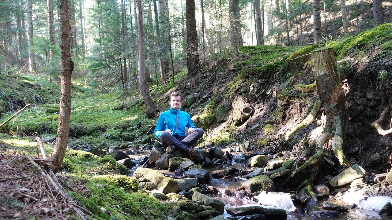 Marzec w GRZYBOWYM lesie