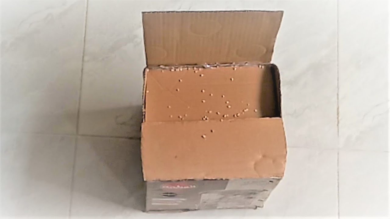 طريقة عمل مصيدة عصافير من الكرتون فقط (اصنع بنفسك)