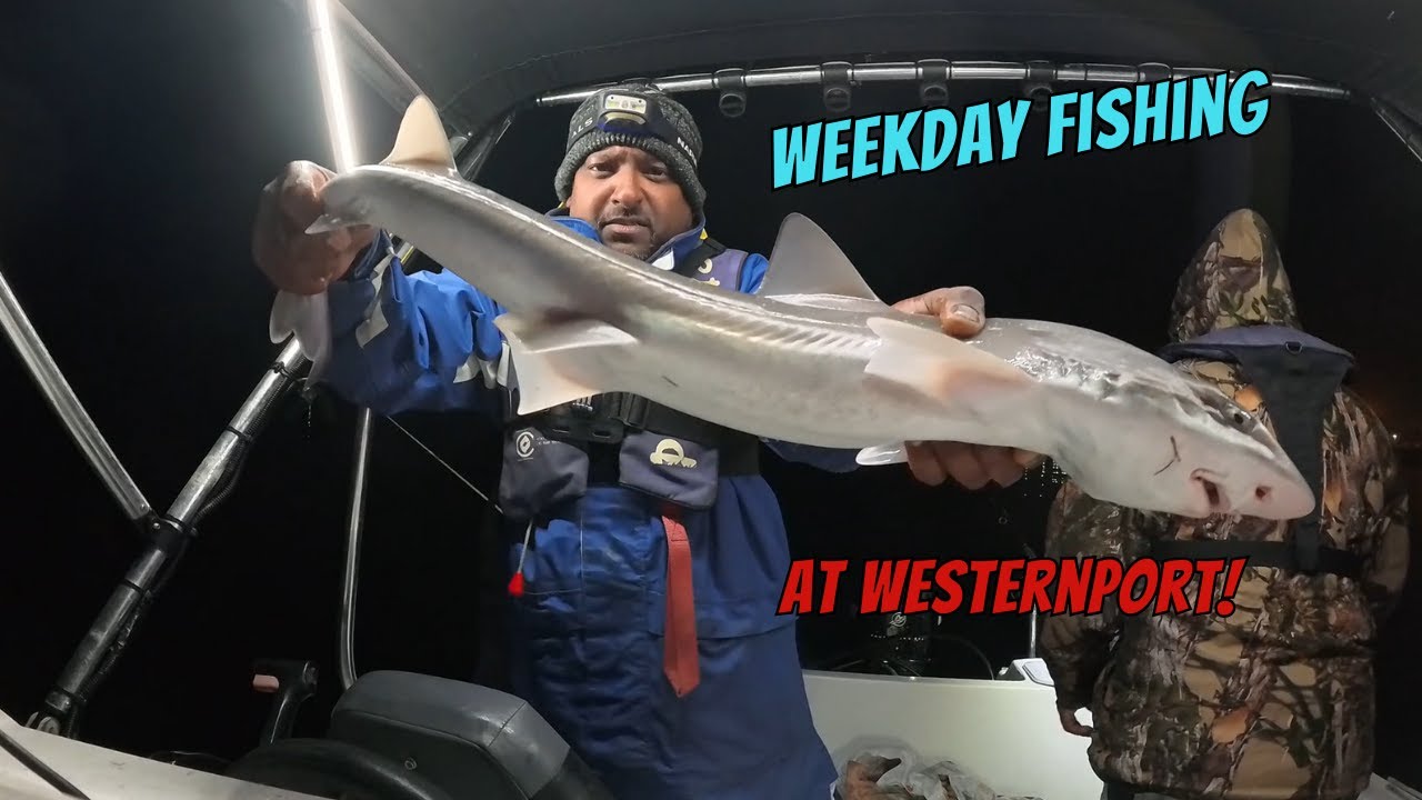 Western Port Fishing