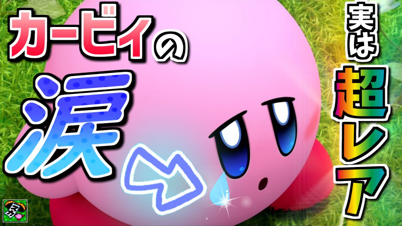 【貴重】たった数回しか見れないカービィの