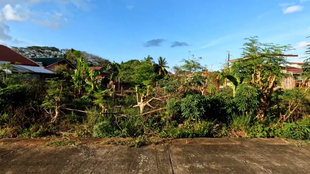 Video From GoPro 10 5k -Down Graded and edited Inshot 4k 30fps
