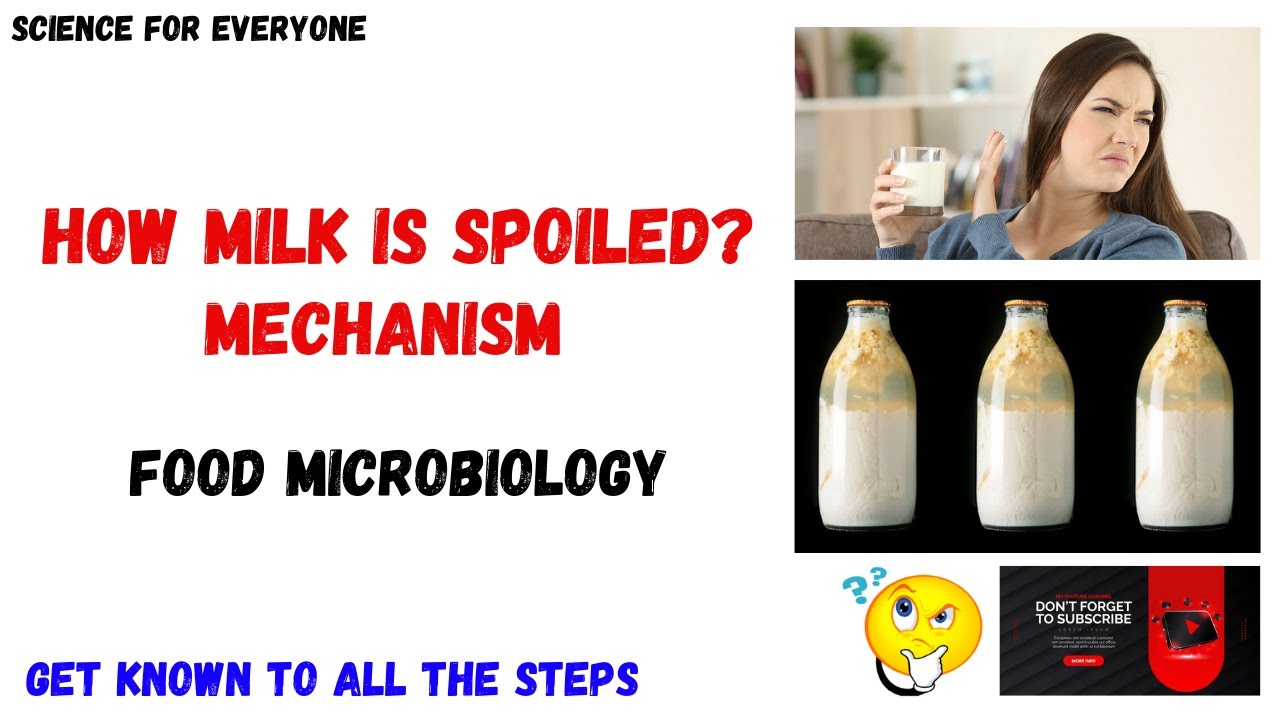 MILK SPOILAGE | MECHANISM | Detailed Explanation