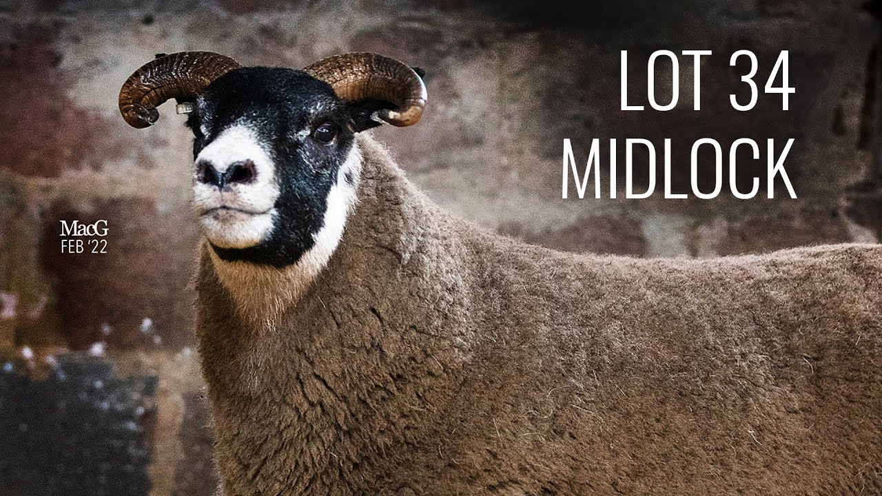 LOT 34 - Midlock