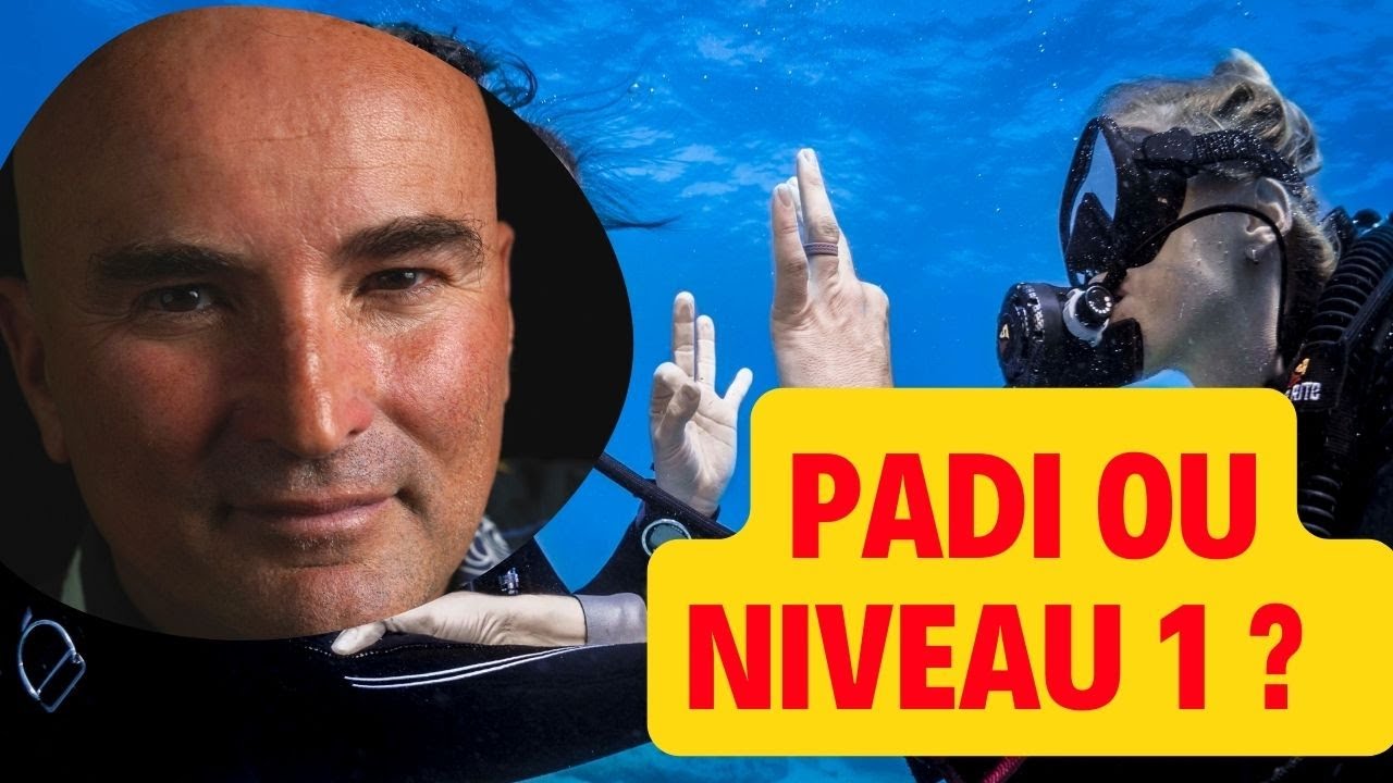 PADI ou niveau 1 ? Question la plus importante pour débuter en plongée ? #plongeesousmarine #padi