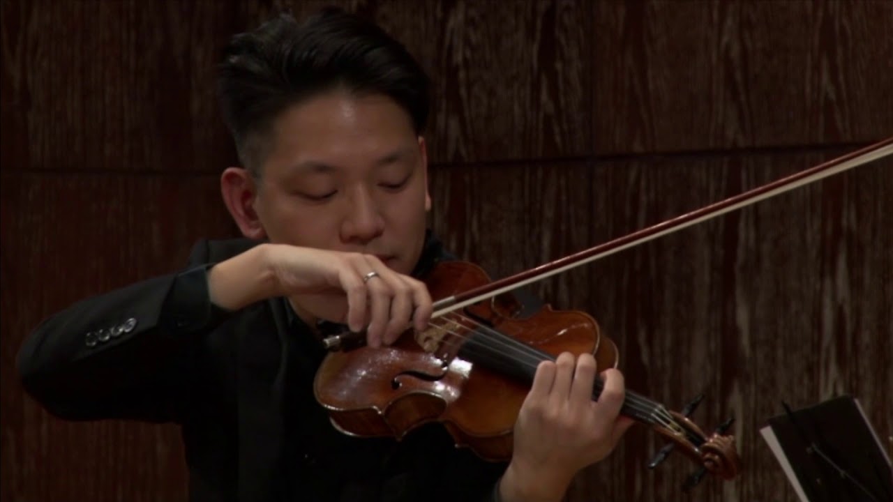 M. Ravel - Piano Trio in A minor I. Mod&eacute;r&eacute;