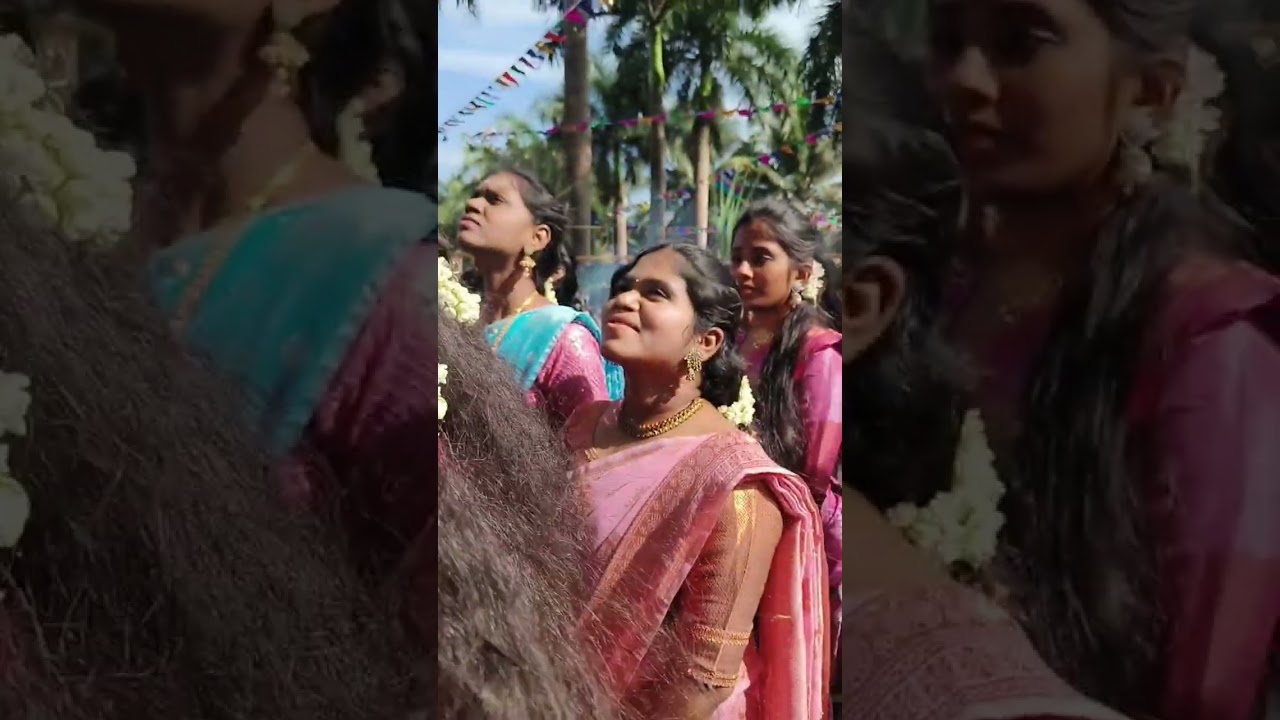 #pongal