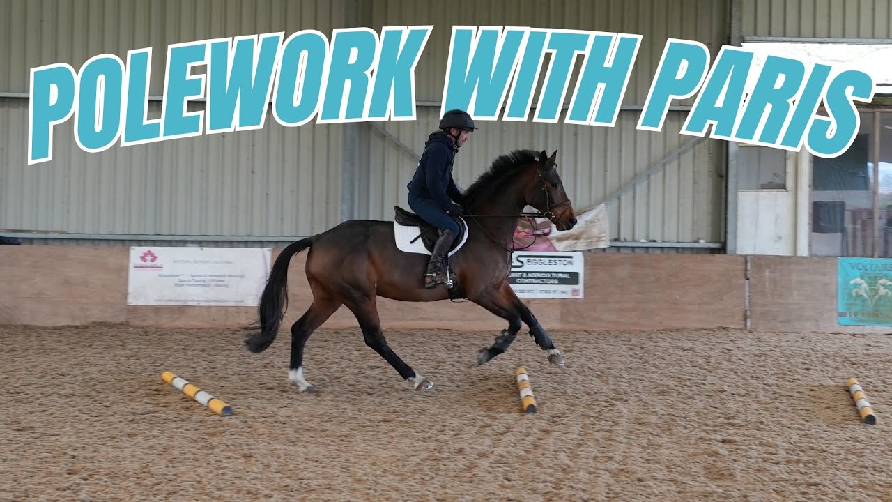 The Canter Exercise Every Young Horse Needs