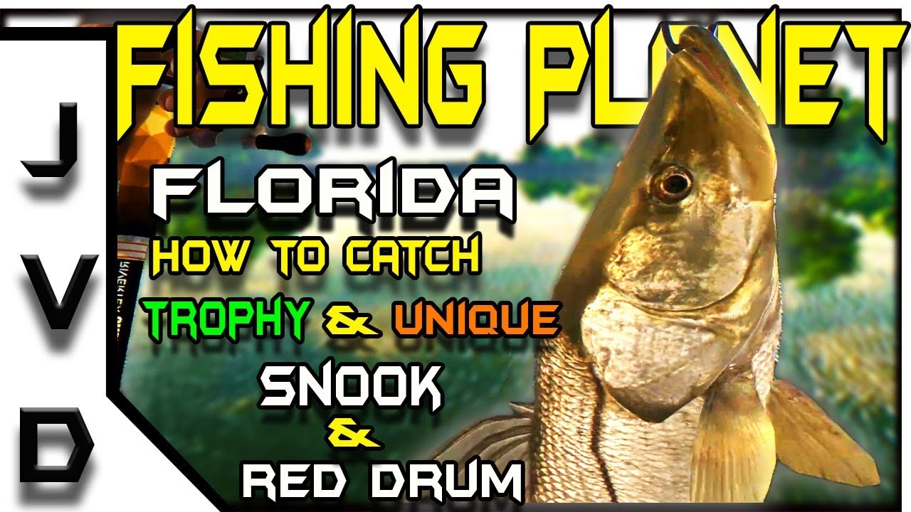 Fishing Planet Gameplay | Ep 22 | Catch Red Drum and Trophy & Unique Snook | Everglades, Florida