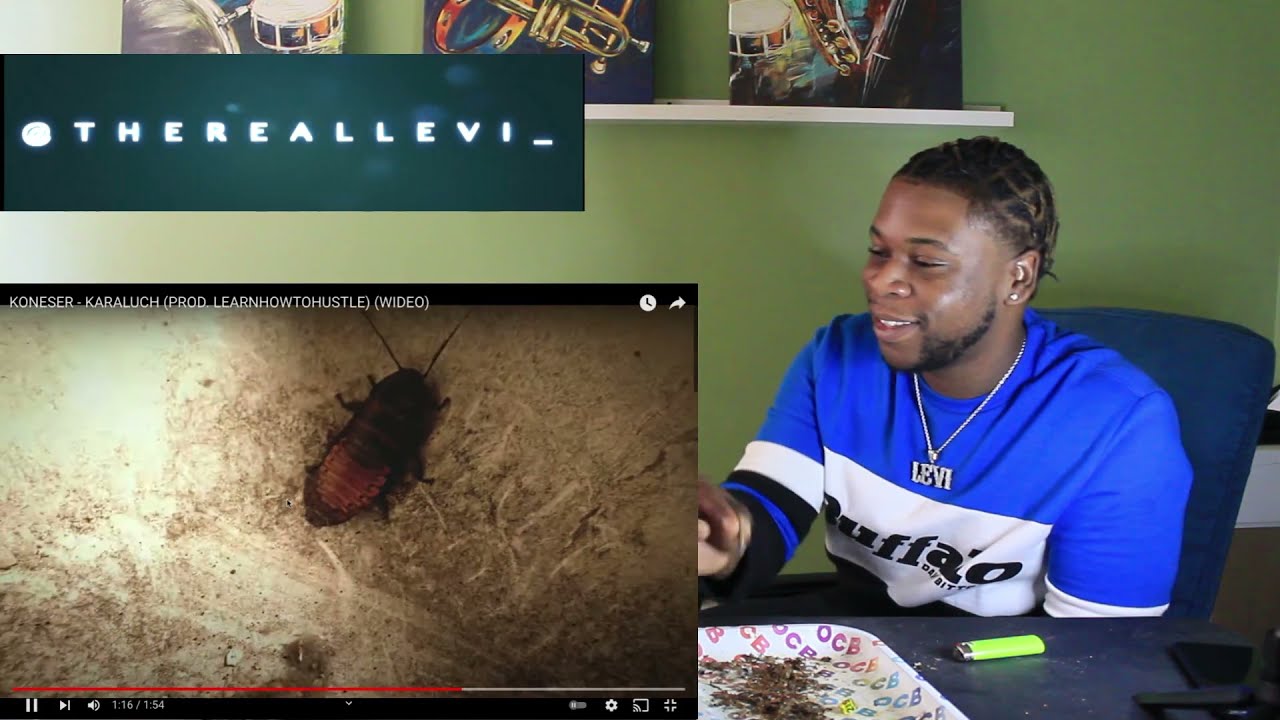 TRL Reaction / KONESER -  KARALUCH PROD. (LEARNHOWTOHUSTLE) (PolishRap)