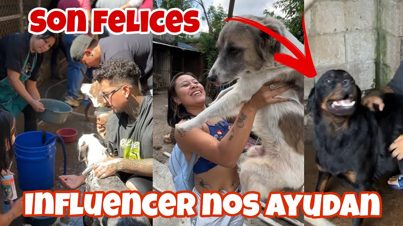Influencers salvadoreños se unen aún a gran Causa primer Dogwash 