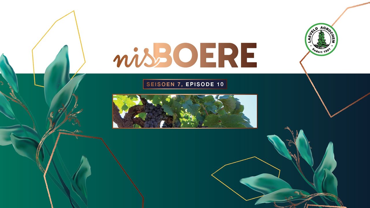 Nisboere 7 | Episode 10 &ndash; Lowerland Organic Farming