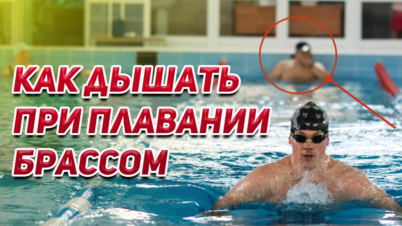 Как дышать при плавании брассом. Лайфхак от попадания воды. Вы больше не будете задыхаться