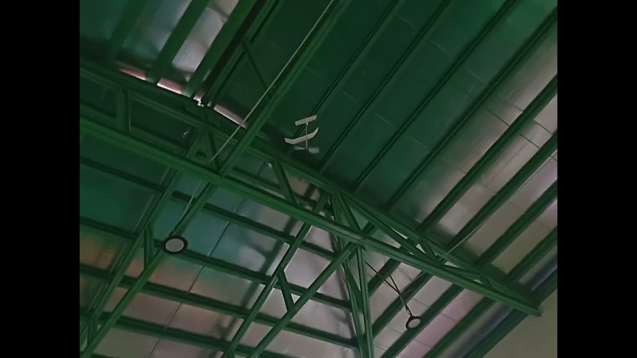 25cm indoor free flight test flight