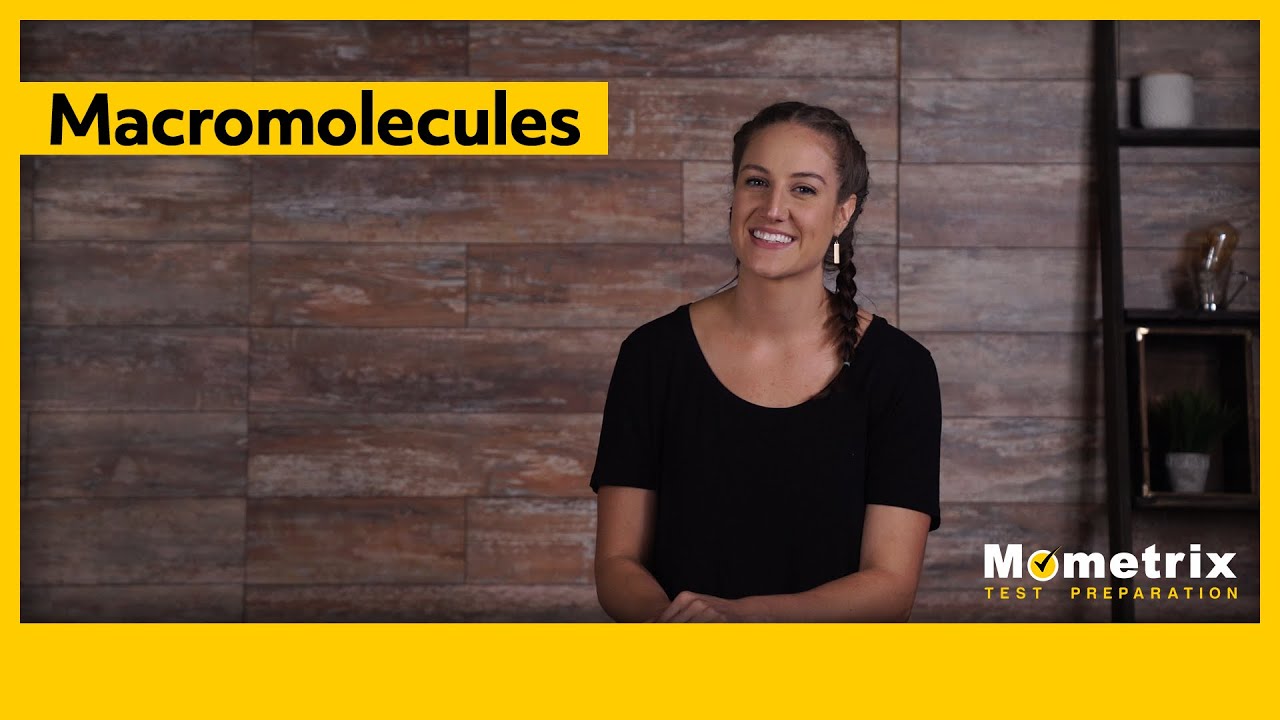 Macromolecules