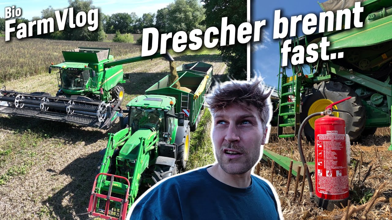 Das war knapp..🔥Katastrophe bei den Ackerbohnen 🧯/ Vlog 192