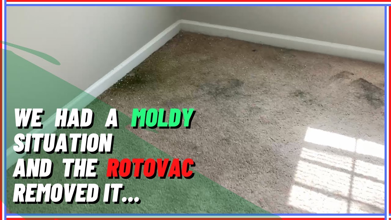 RotoVac Cleaned Up This moldy Carpet - 
