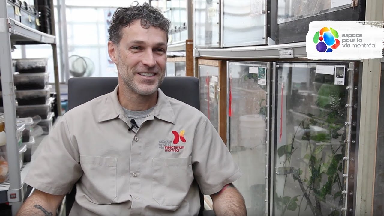 Le métier de préposé entomologique