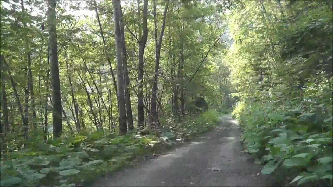 2012.06.30 ヌプントムラウシ温泉への道 4倍速