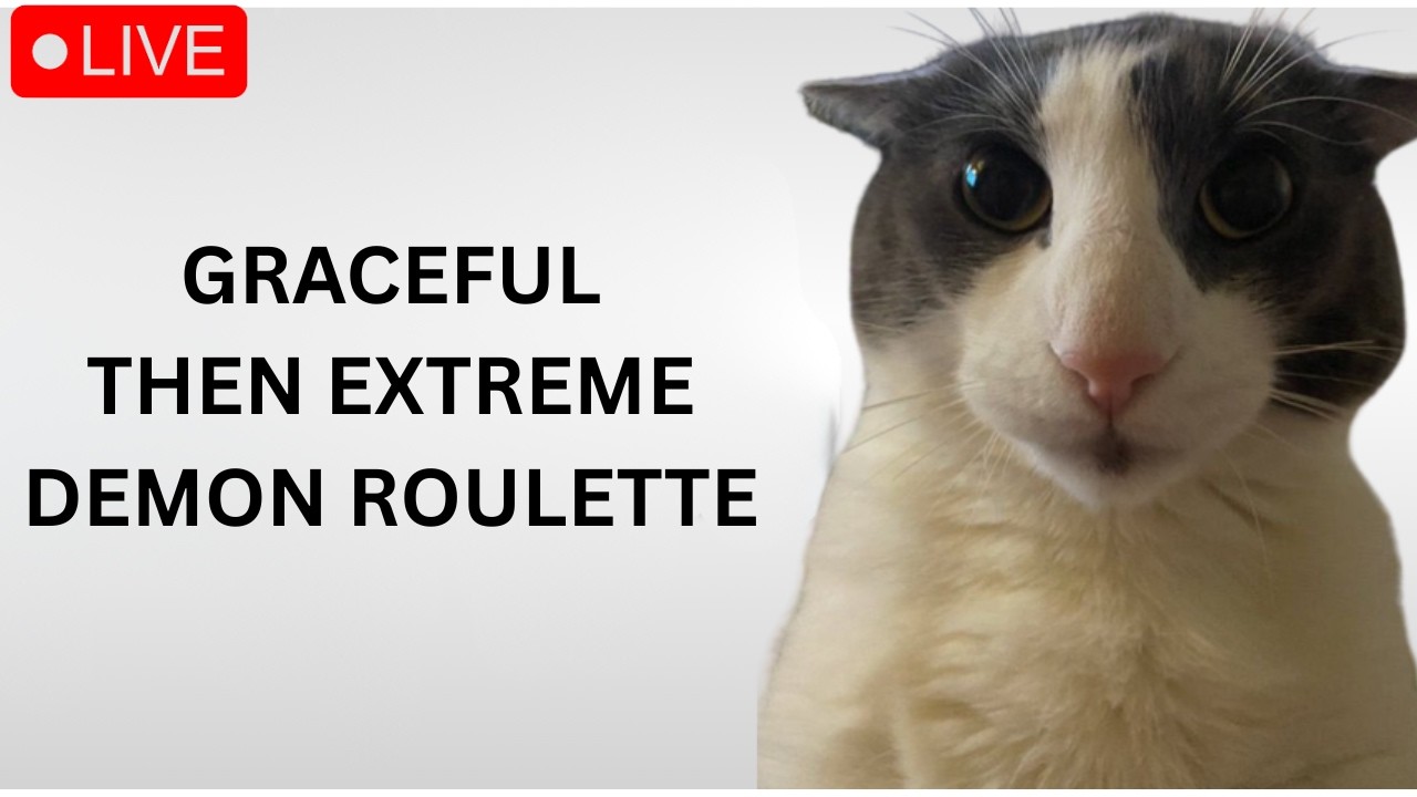 🔴 GRACEFUL // THEN  ROULETTE 🔴 helps