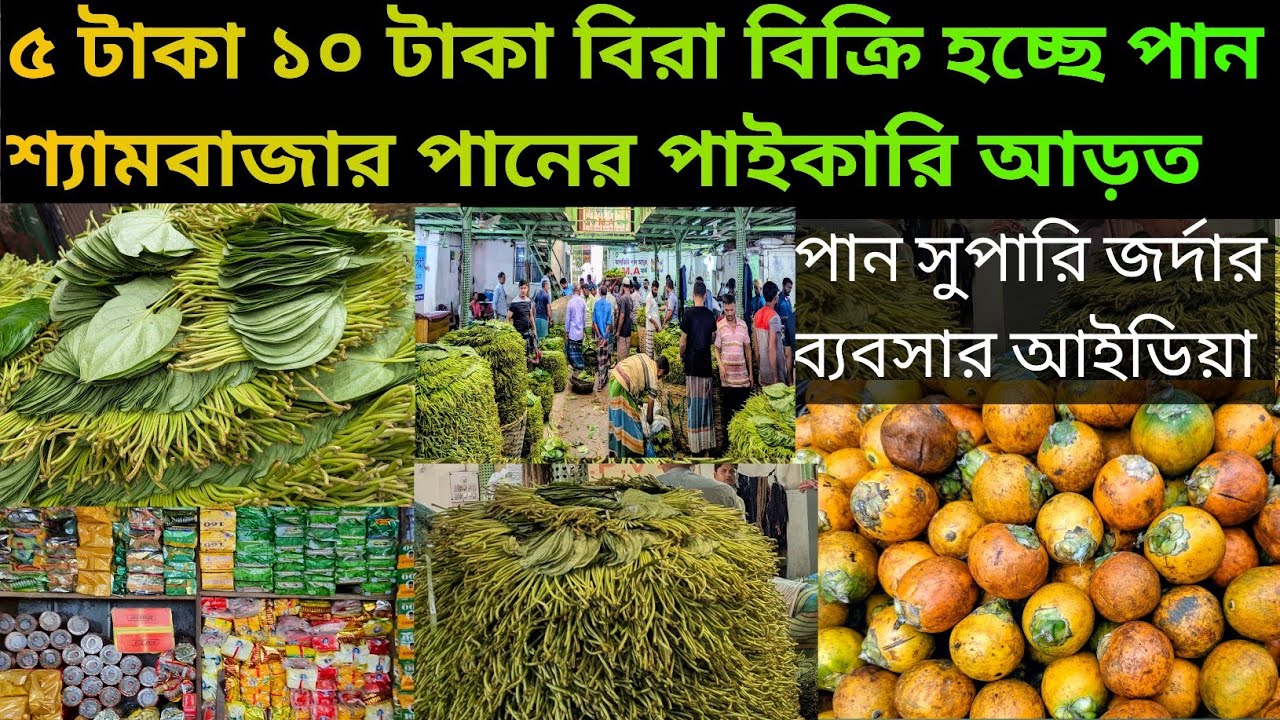 পানের পাইকারি দাম | পান সুপারির আড়ত শ্যামবাজার ঢাকা | ব্যবসার আইডিয়া | wholesale price 2025