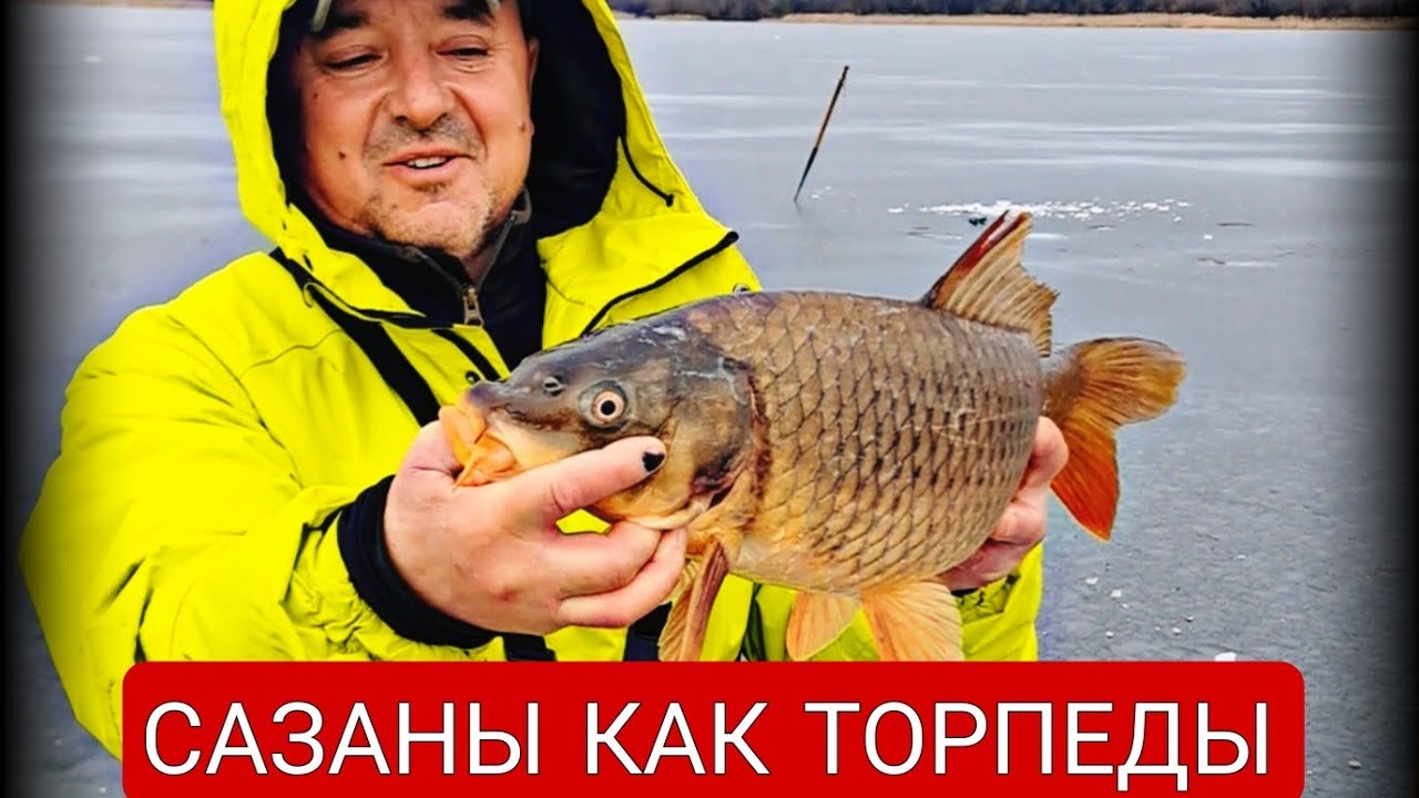 ВЫШЕЛ НА СКАЛЫ, А ТАМ КОСЯК! САЗАНЫ КАК КАБЫ, А  ОКУНЯ КАК ДРОНЫ! #fishing #bigfish #carpfishing