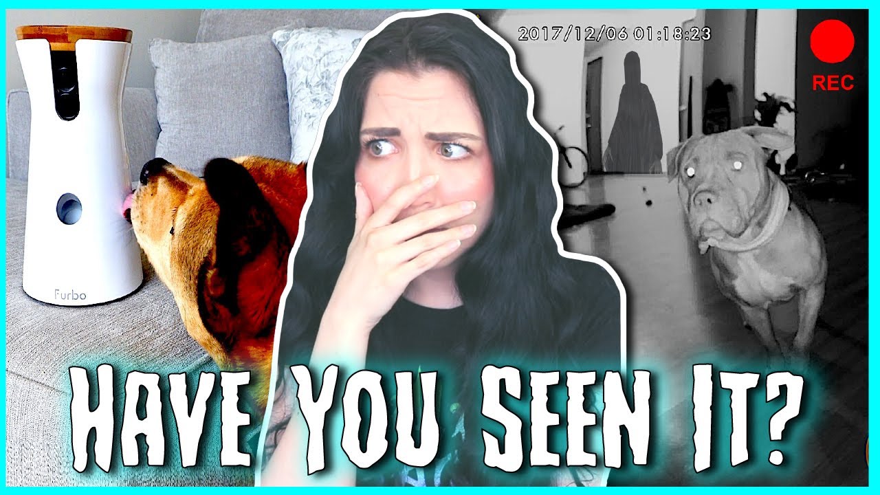 A Creepy WARNING About Your Pet Camera