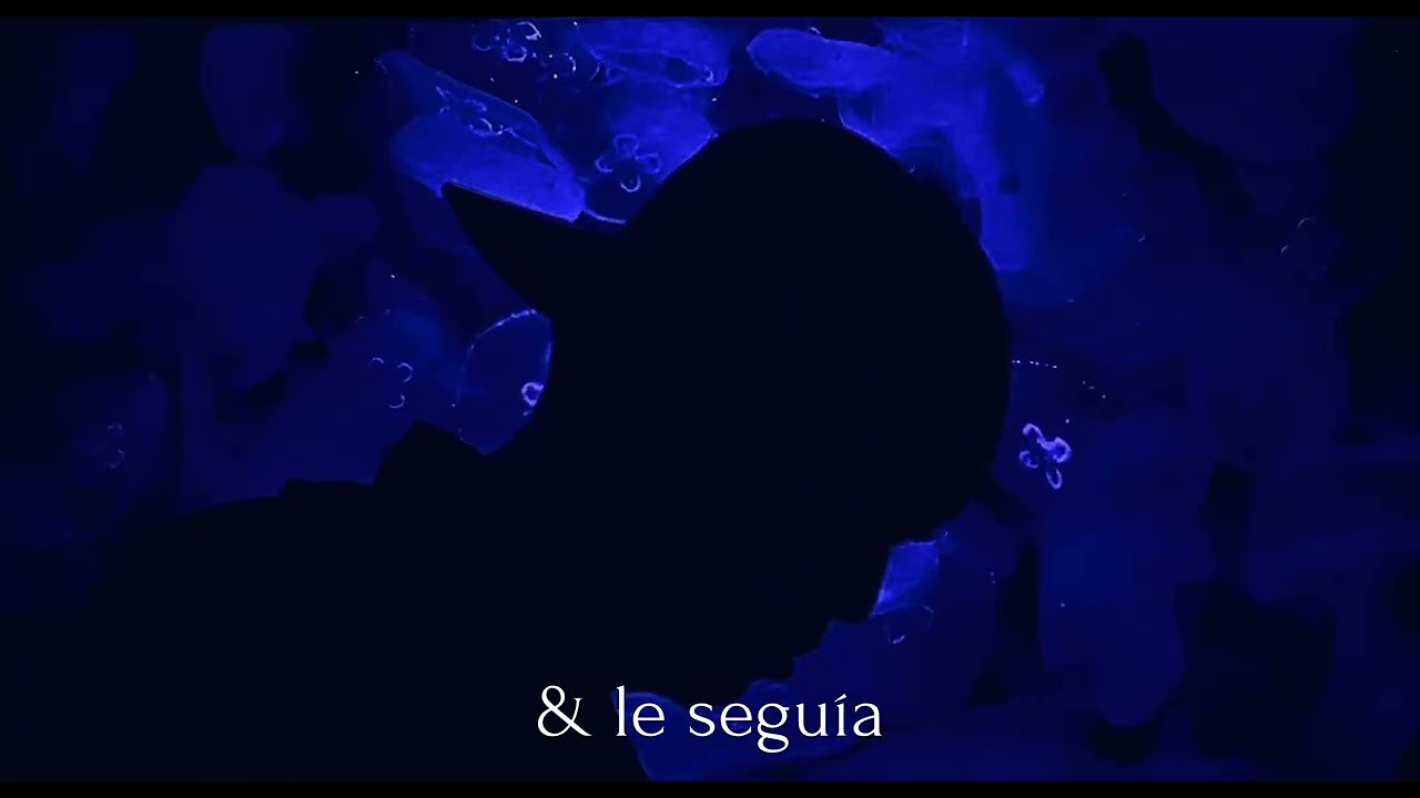 In&eacute;dita - Crisis (Video oficial)