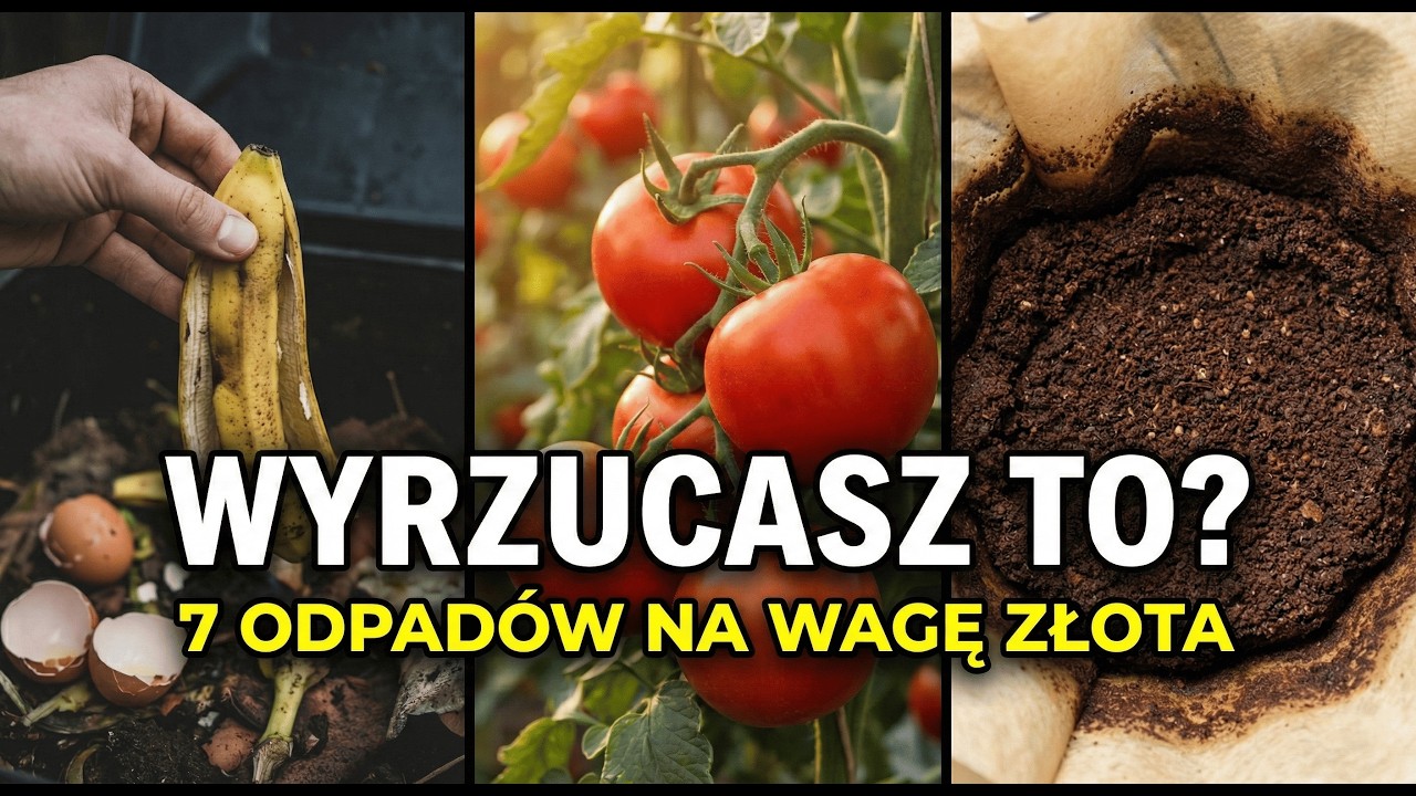 SEKRET MOJEJ BABCI: Zakop to pod krzakiem, a zbiory będą podwójne.