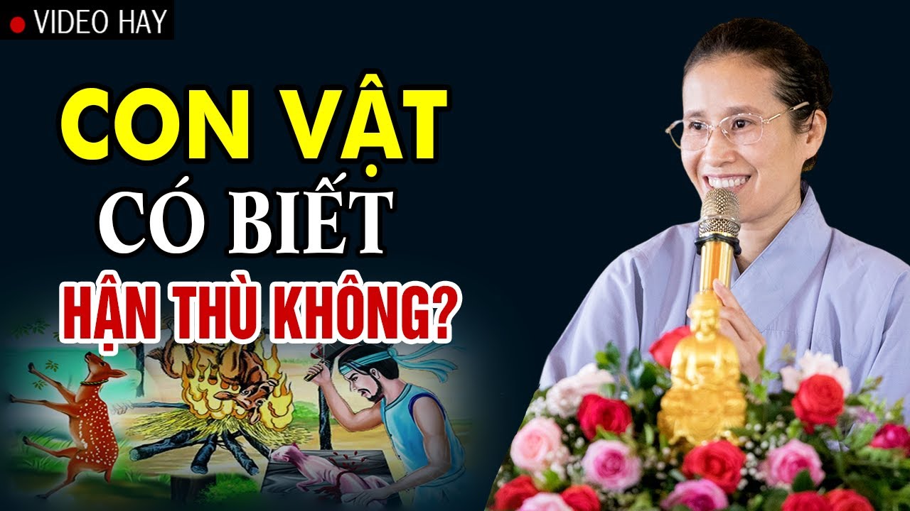 Động vật có biết thù hận không? | Cô Phạm Thị Yến