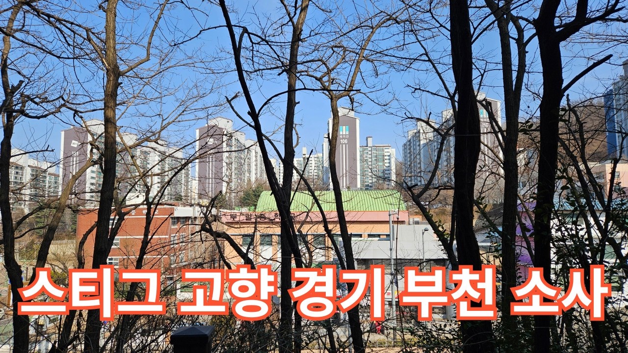 스티그 고향 경기 부천 소사