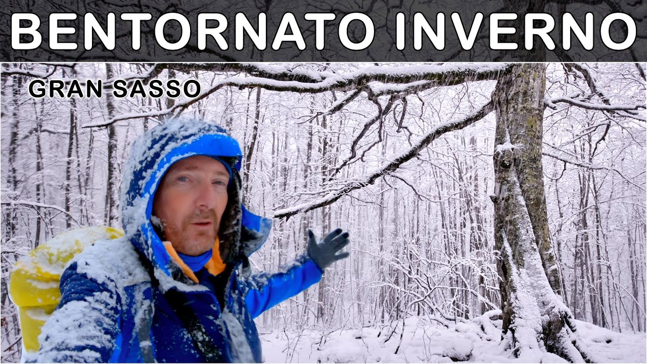GRAN SASSO  una bufera di neve rende il bosco secolare un ambiente incantato... Bentornato Inverno !